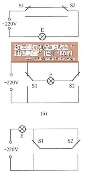 BBIN下载