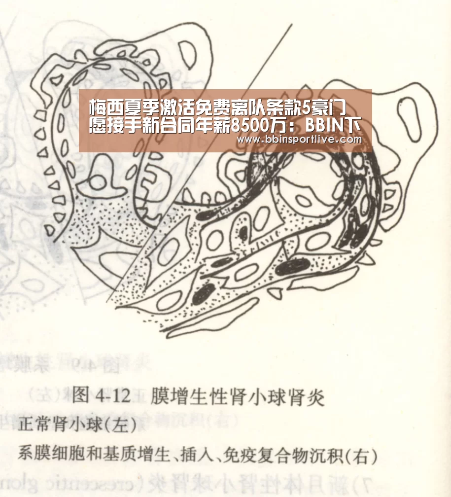 梅西夏季激活免费离队条款5豪门愿接手新合同年薪8500万:BBIN下载(图1) BBIN娱乐城